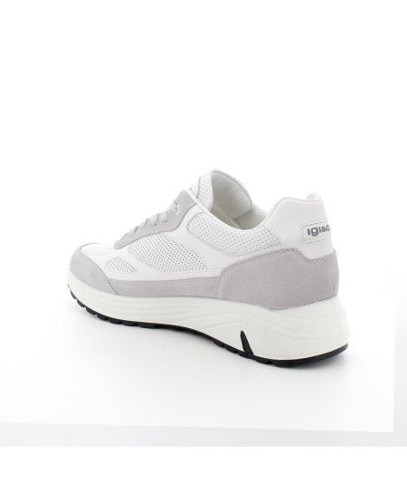 Igi&Co SNEAKERS PERLA BIANCO - Modello 76377